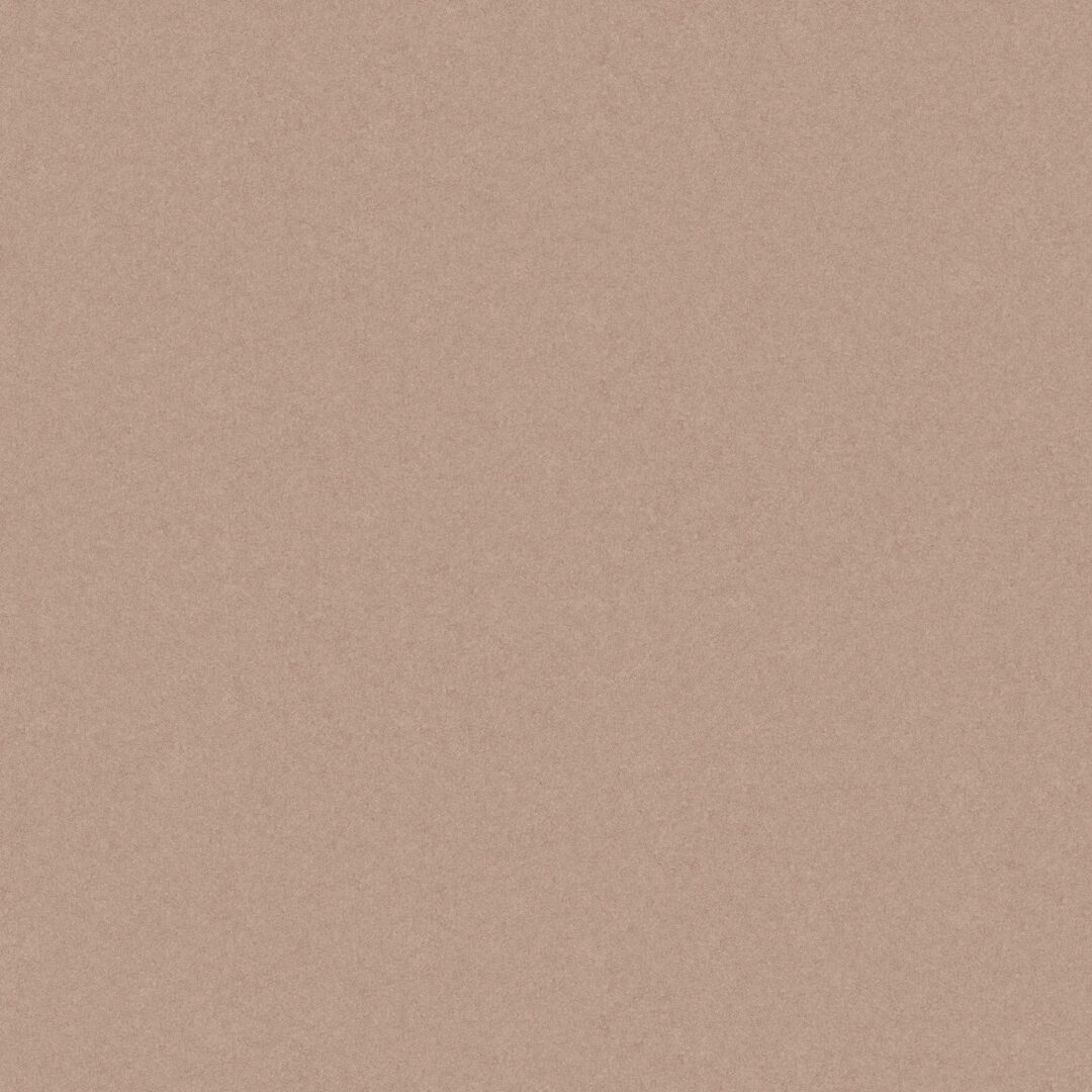 Evolution Monolight mocca matt MX06 Fz 597x597x8 1S R10/B rekt. neue Stärke